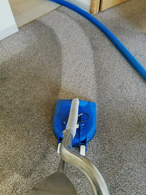 Cleaning carpets