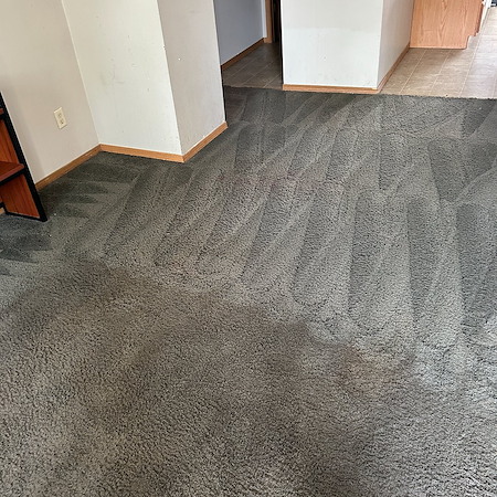 Spring Refresh: Why Carpet Cleaning is a Must for Your Bloomington Home