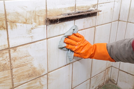 Top Tile and Grout Cleaning Tips for Illinois Homeowners